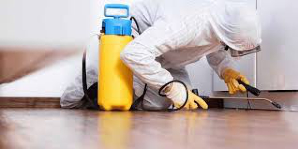 Reliable Termite Control Services in Lahore Today