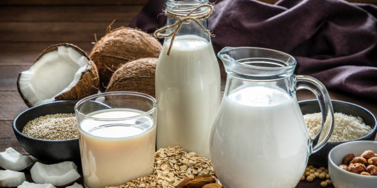 US Dairy Snack Market Outlook Fueled by Convenient Nutrition