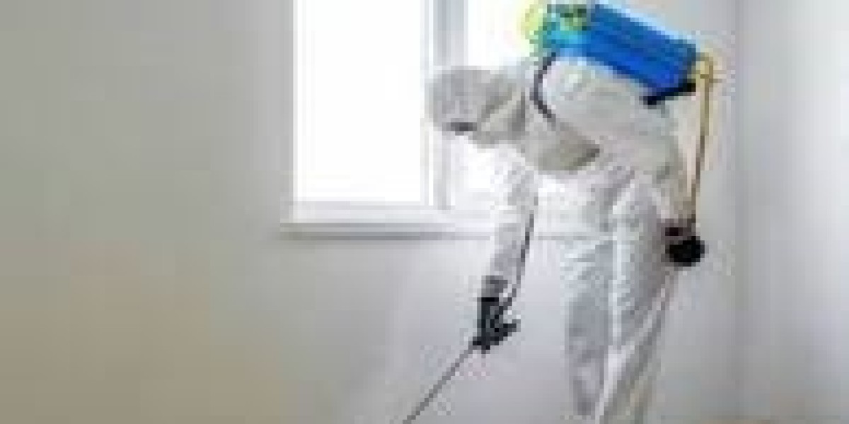 Bed Bugs Removal NYC: Protect Your Staten Island Home