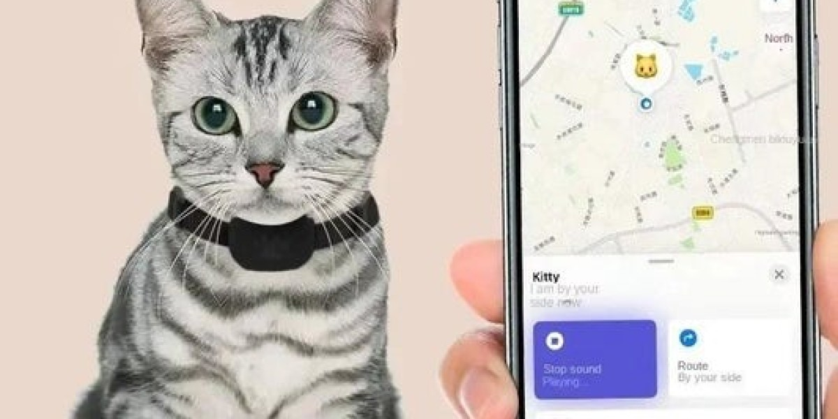 How Cat Supplies Online Help Save Time and Money