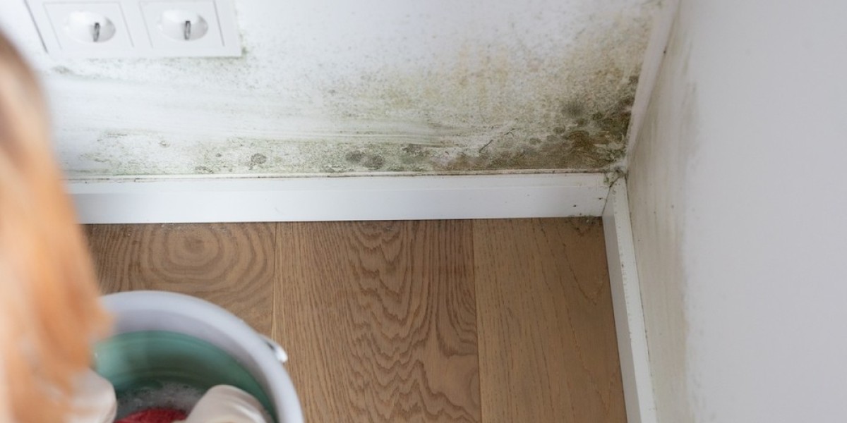 Why Two Identical Mold Problems May Need Completely Different Mold Removal Los Angeles Solutions