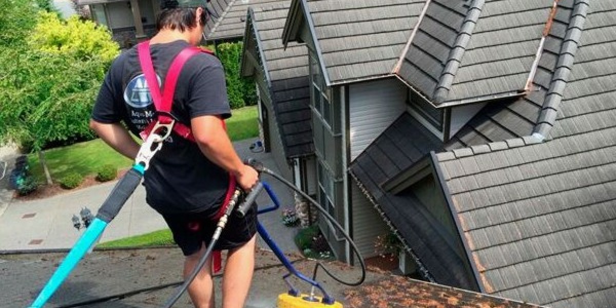 Roof Cleaning Ft Worth and Roof Stain Removal Burleson: Protecting Your Home from Roof Damage