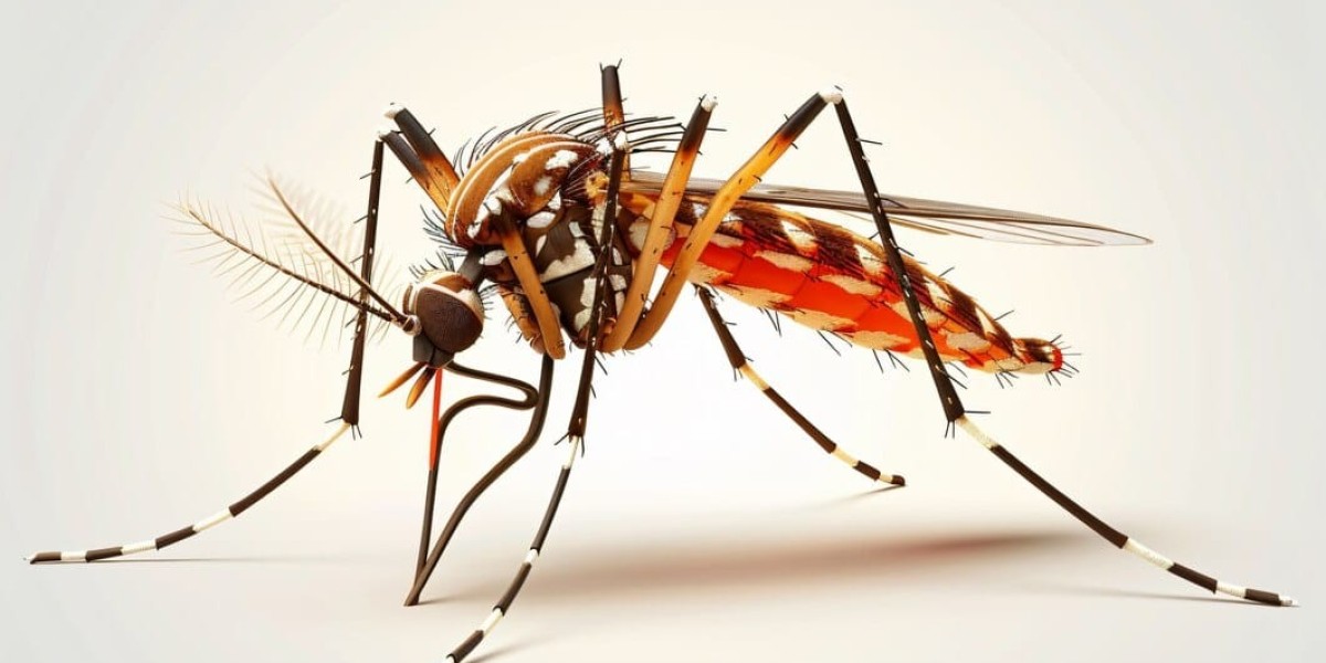 Mosquitoes Control Services Abu Dhabi – Complete Guide to Professional Mosquito Control Solutions